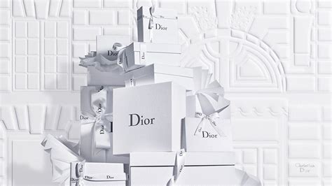 air christian dior|official Christian Dior website.